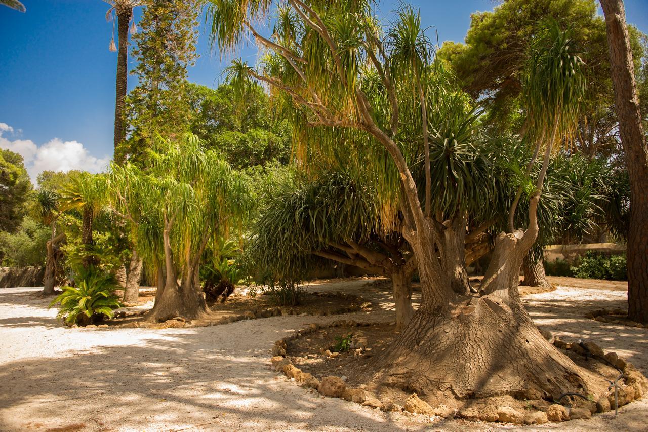 Villa Le Torri B&B Trapani Kültér fotó